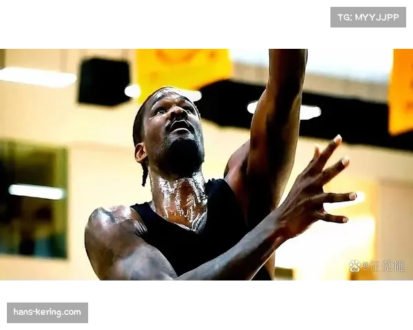 湖人艾顿海斯内线组合护筐出色 连续五场至少两盖帽